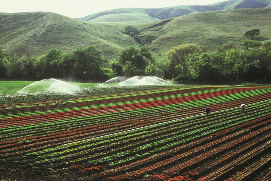 agriculture-593087_960_720